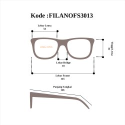 FILANOFS3013
